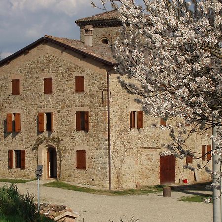 Agriturismo Ca' Bertu' Zappolino ภายนอก รูปภาพ