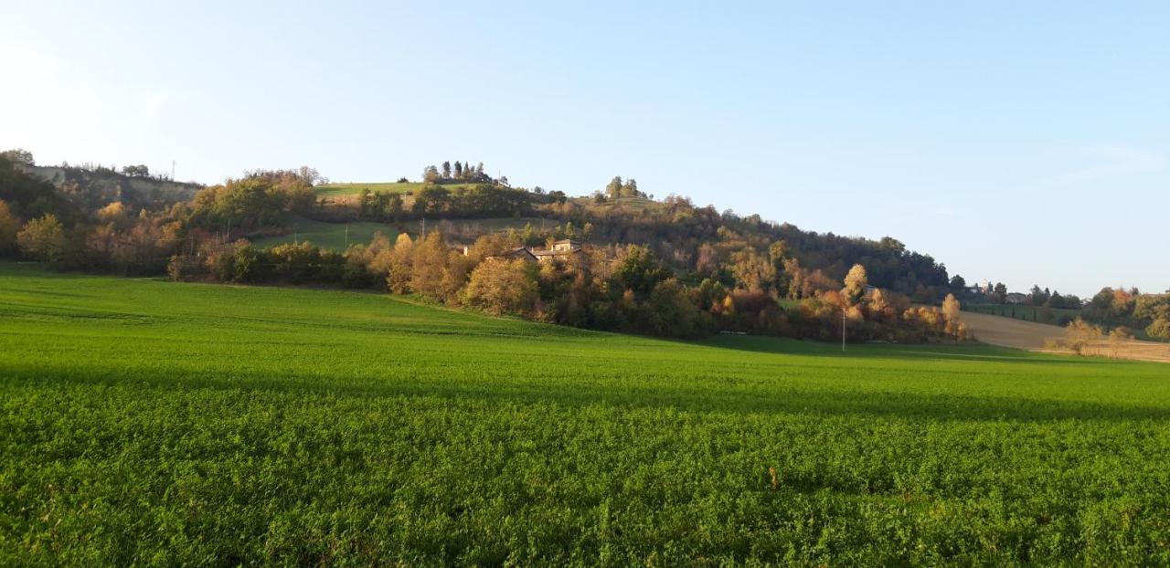Agriturismo Ca' Bertu' Zappolino ภายนอก รูปภาพ