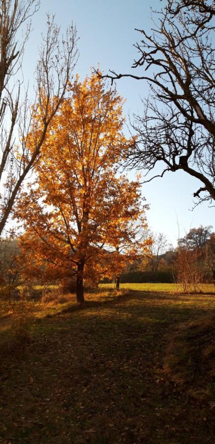 Agriturismo Ca' Bertu' Zappolino ภายนอก รูปภาพ
