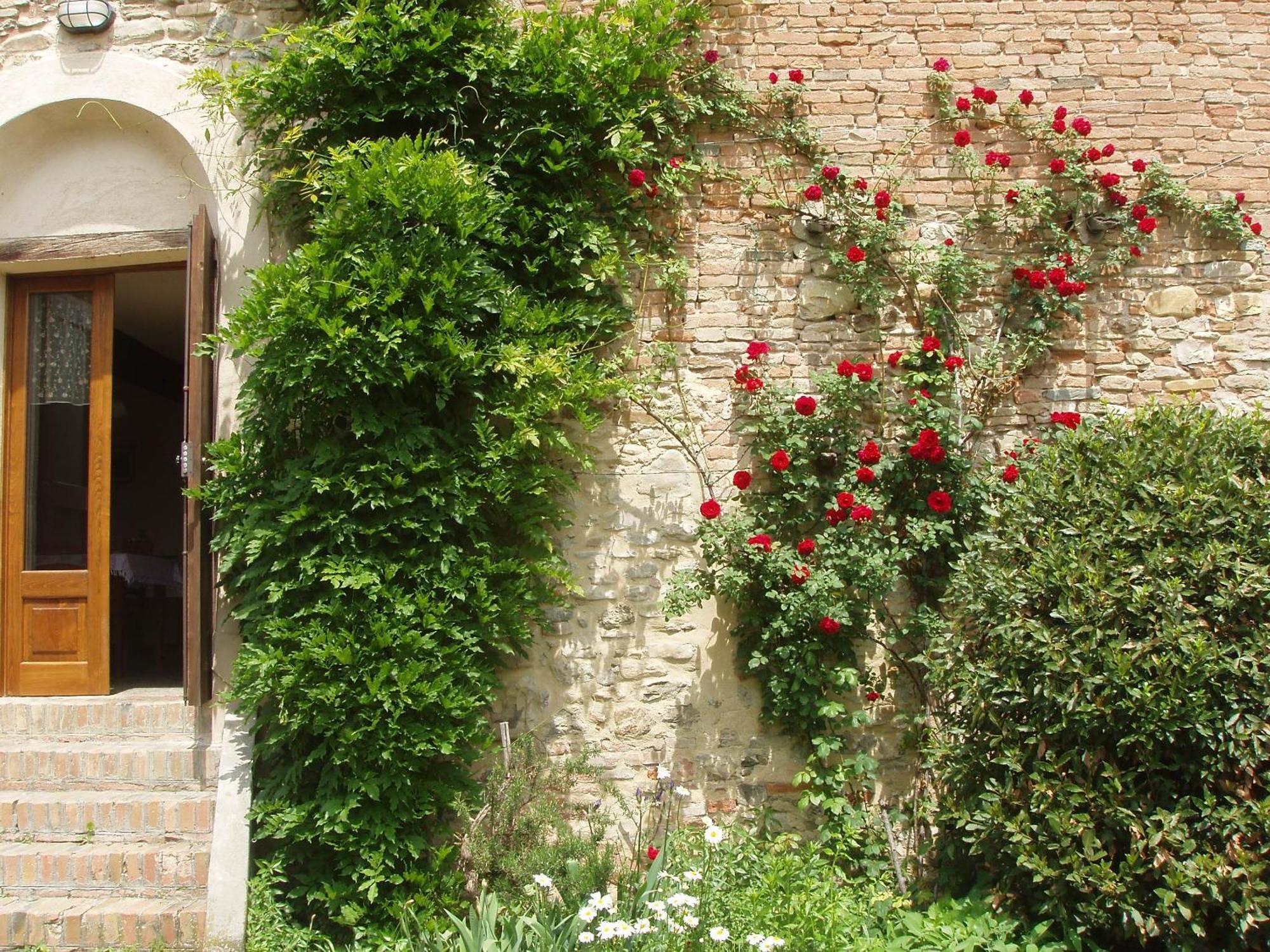 Agriturismo Ca' Bertu' Zappolino ภายนอก รูปภาพ